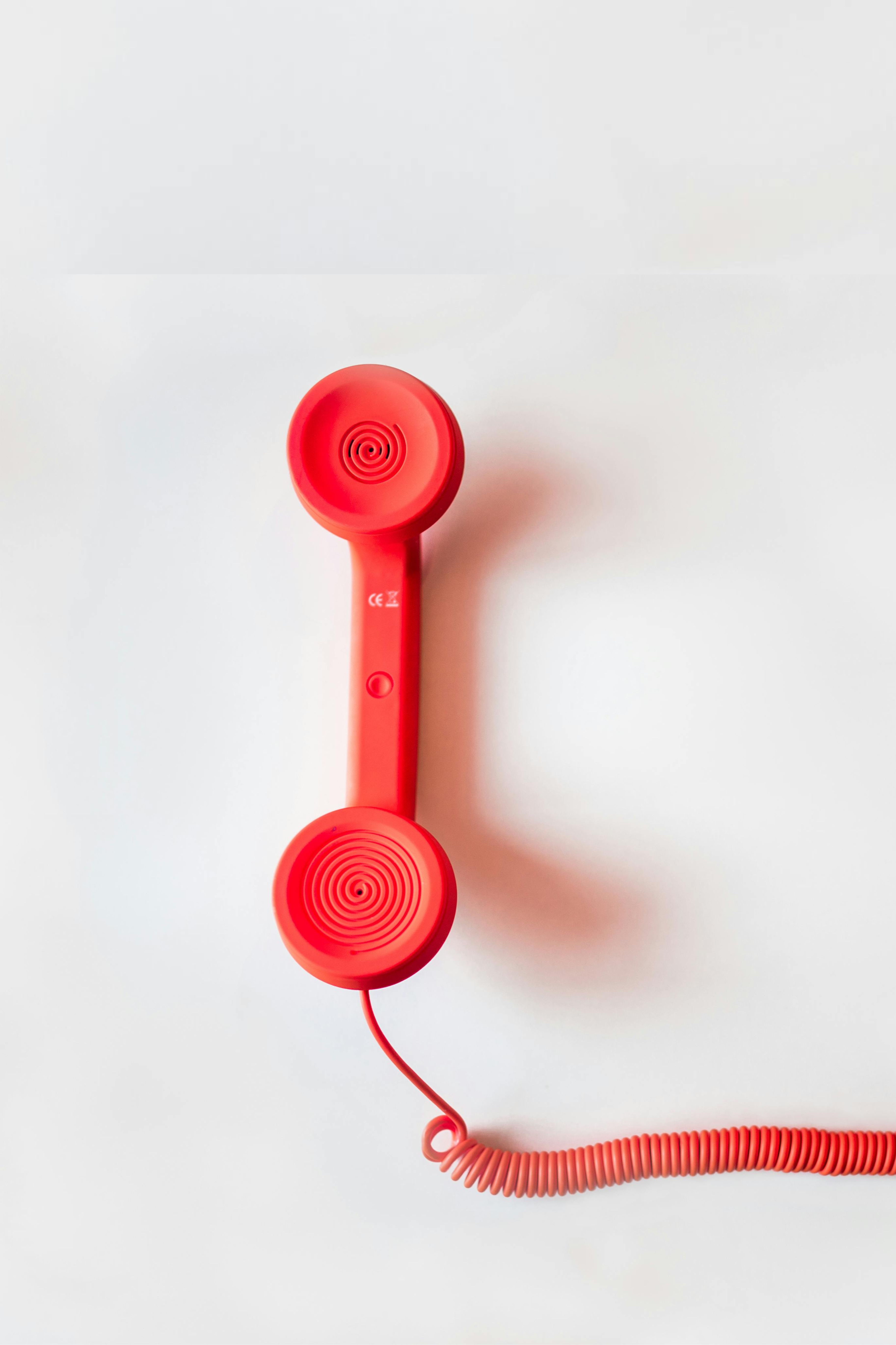 Pizza Carne Seca - Favorita dos cliente